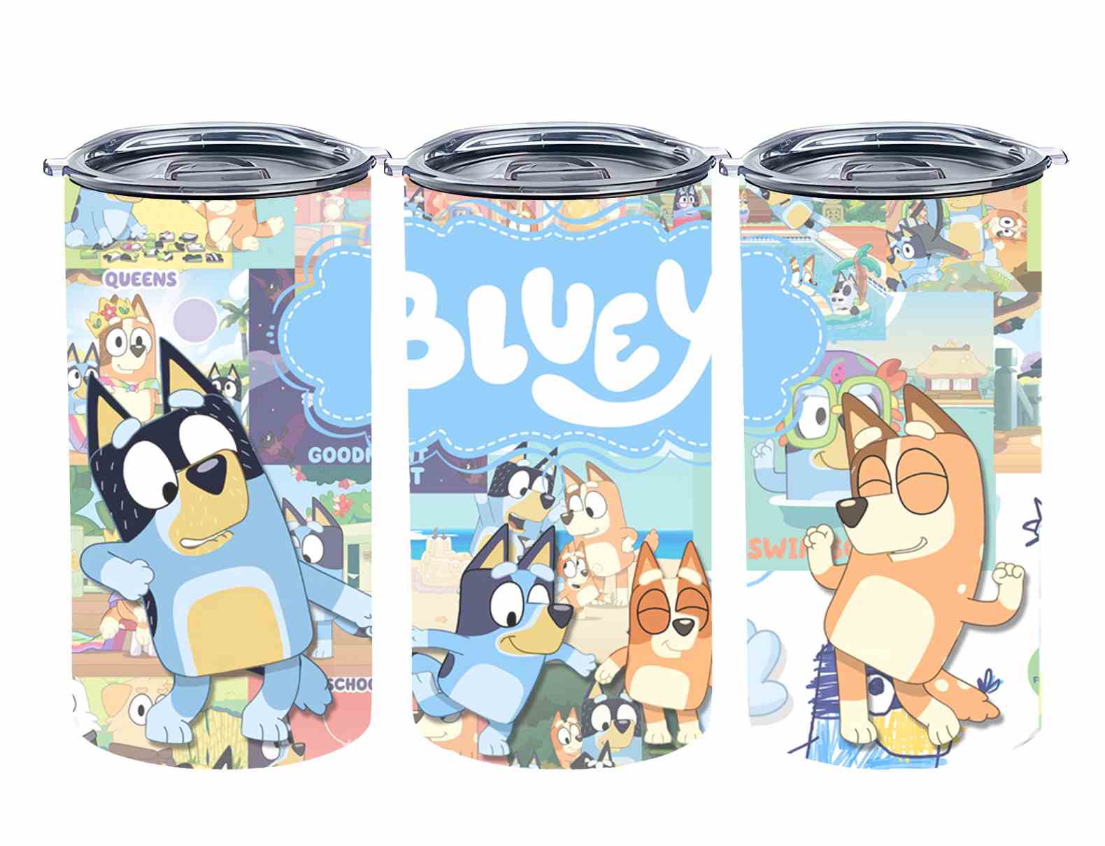 Bluey-9584